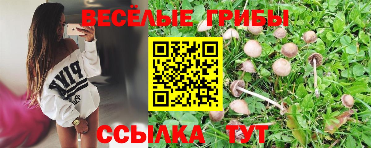 Псилоцибиновые грибы GOLDEN TEACHER Камышлов